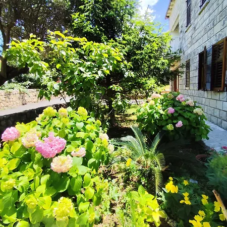 Honey Bee Apartment *